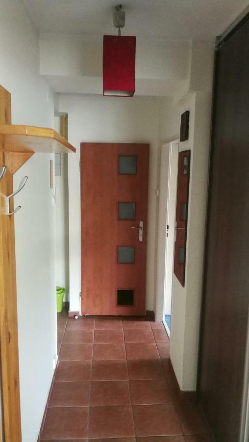 Odster Family Apartment クラクフ エクステリア 写真